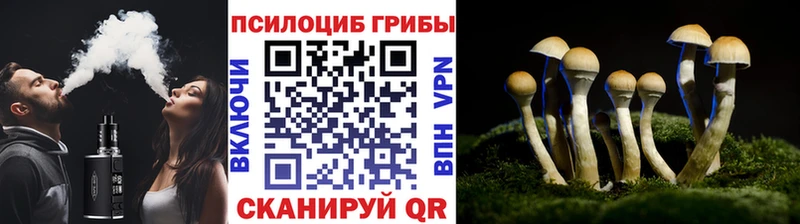 Псилоцибиновые грибы GOLDEN TEACHER  Стерлитамак 